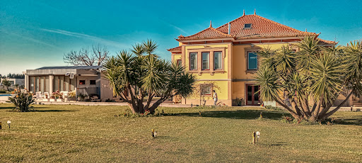 banco Casa Afonso