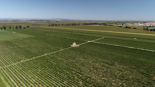 banco Casa Agrícola Paciência, Lda.