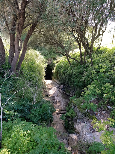 banco Colaride'S Cave