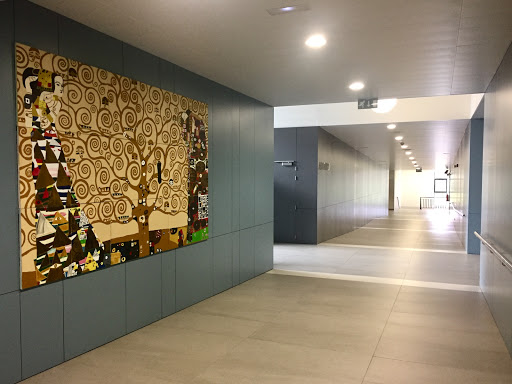 banco Escola Básica Integrada De Água De Pau