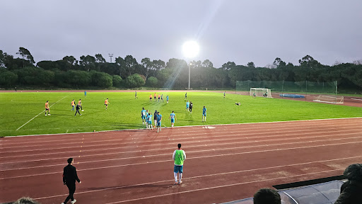 banco Póvoa De Varzim Municipal Stadium