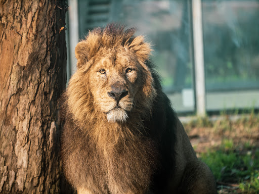 banco Zoo Santo Inácio